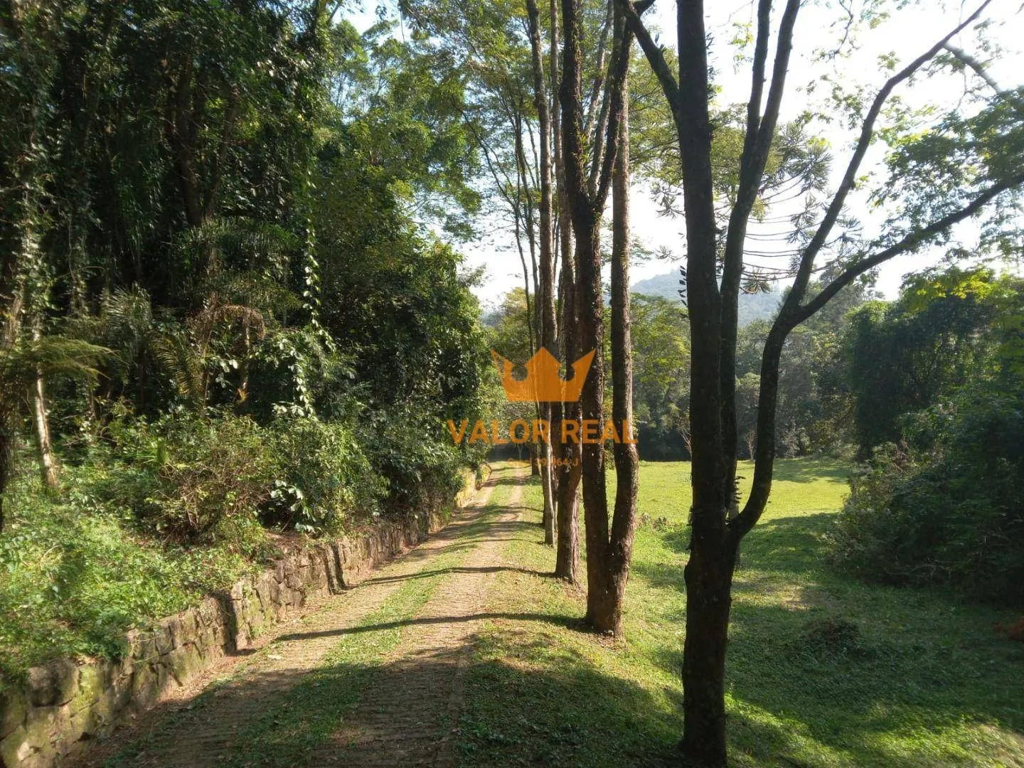 Imagem Sítio Campo Limpo, 99 mil m2, Meio da Natureza, R$ 3 milhões.