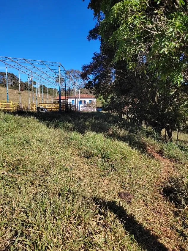 Imagem FAZENDINHA À VENDA - RIO MANSO (MG) 43 hectares de terra