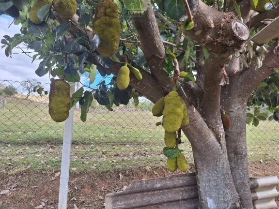 Imagem linda chacara a venda