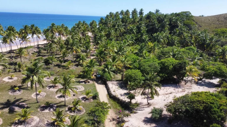 Imagem ÁREA EXUBERANTE FRENTE MAR