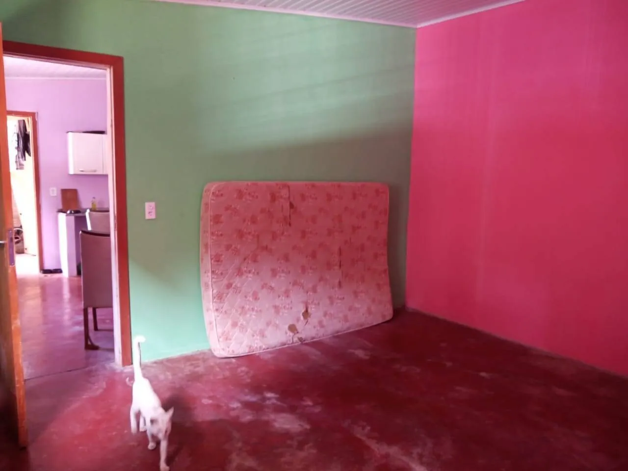 Imagem Casa 2 quartos, e espaço Comercial anexo. Terreno amplo com quintal.