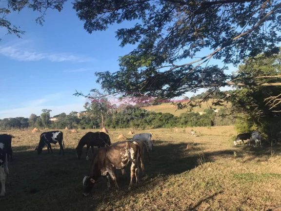 Imagem Área de Terreno com 24.600m² +18.800m² área de mata = TOTALIZANDO 43.470m²