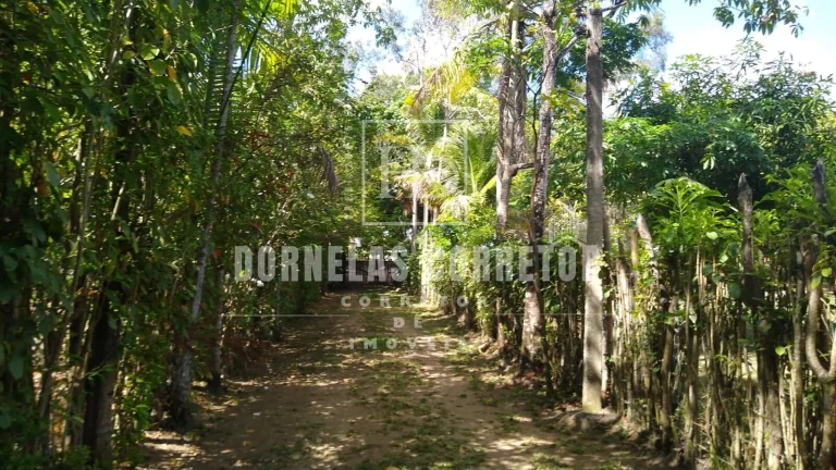 Imagem Sítio à Venda em Olinda/PE | 15 Mil m² com Estrutura Completa
