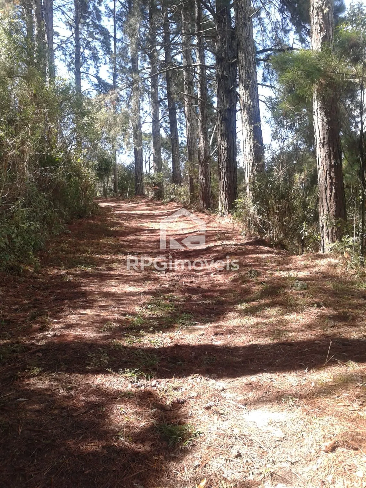 Imagem Terreno cidade do sol