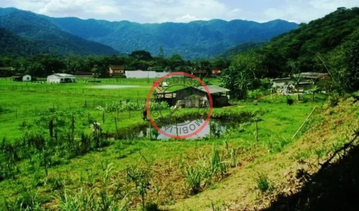 Imagem FAZENDA COM 55 MIL METROS DE AREA UTIL EM SAO SEBASTIAO