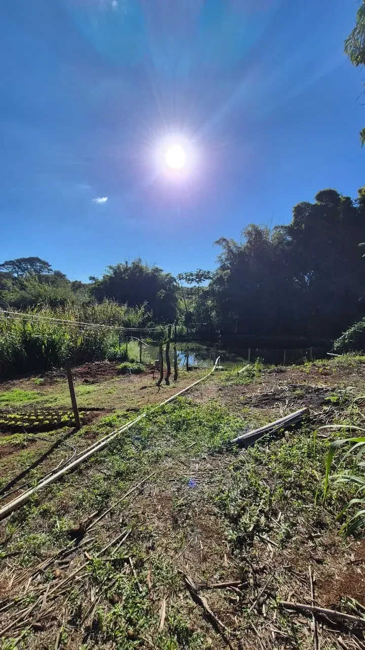 Imagem Sítio à Venda, 4 hectare em Monte Santo de Minas - Monte Santo de Minas