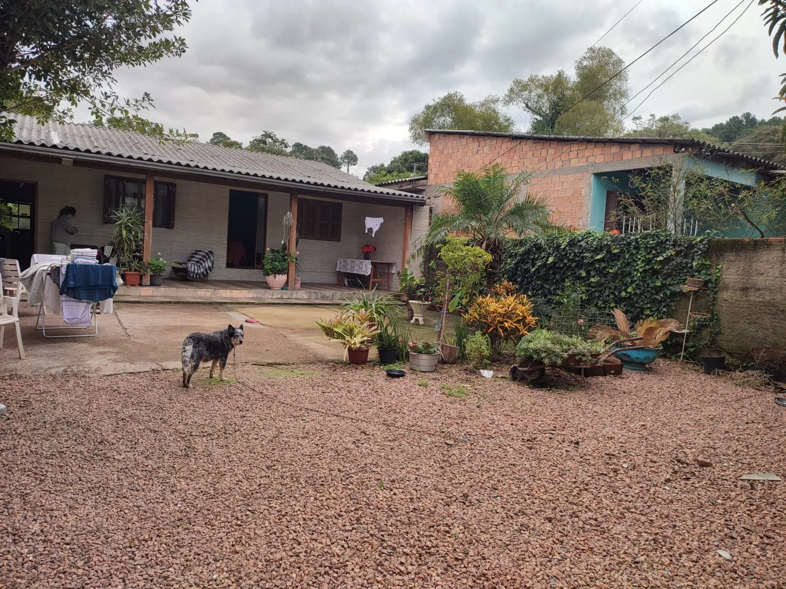Imagem Casa no bairro Hípica