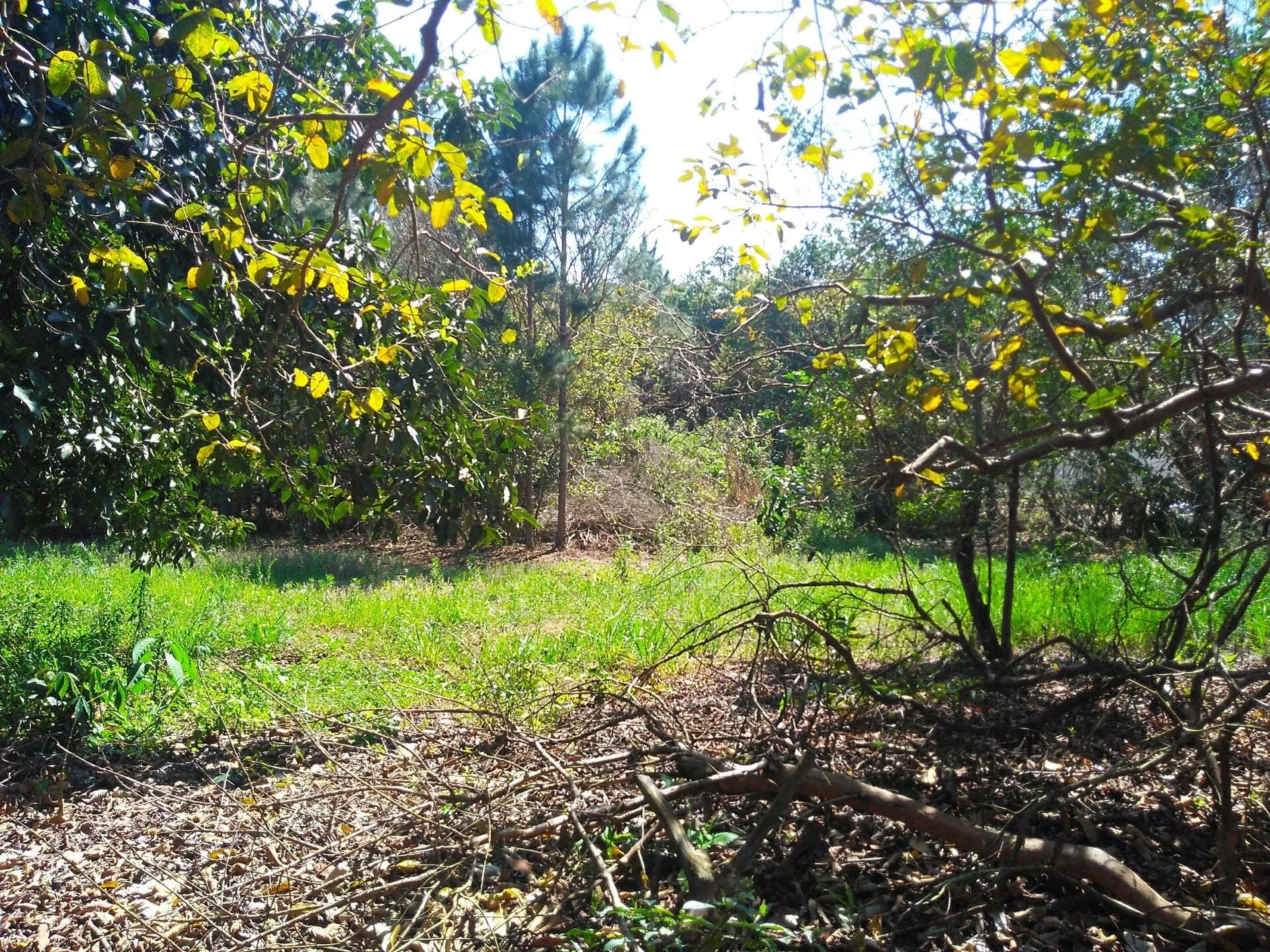 Imagem Chacara-para-Venda-em-Mirandas-Tatui-SP