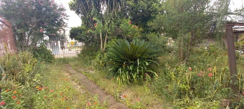 Imagem Terreno em Vila Nova