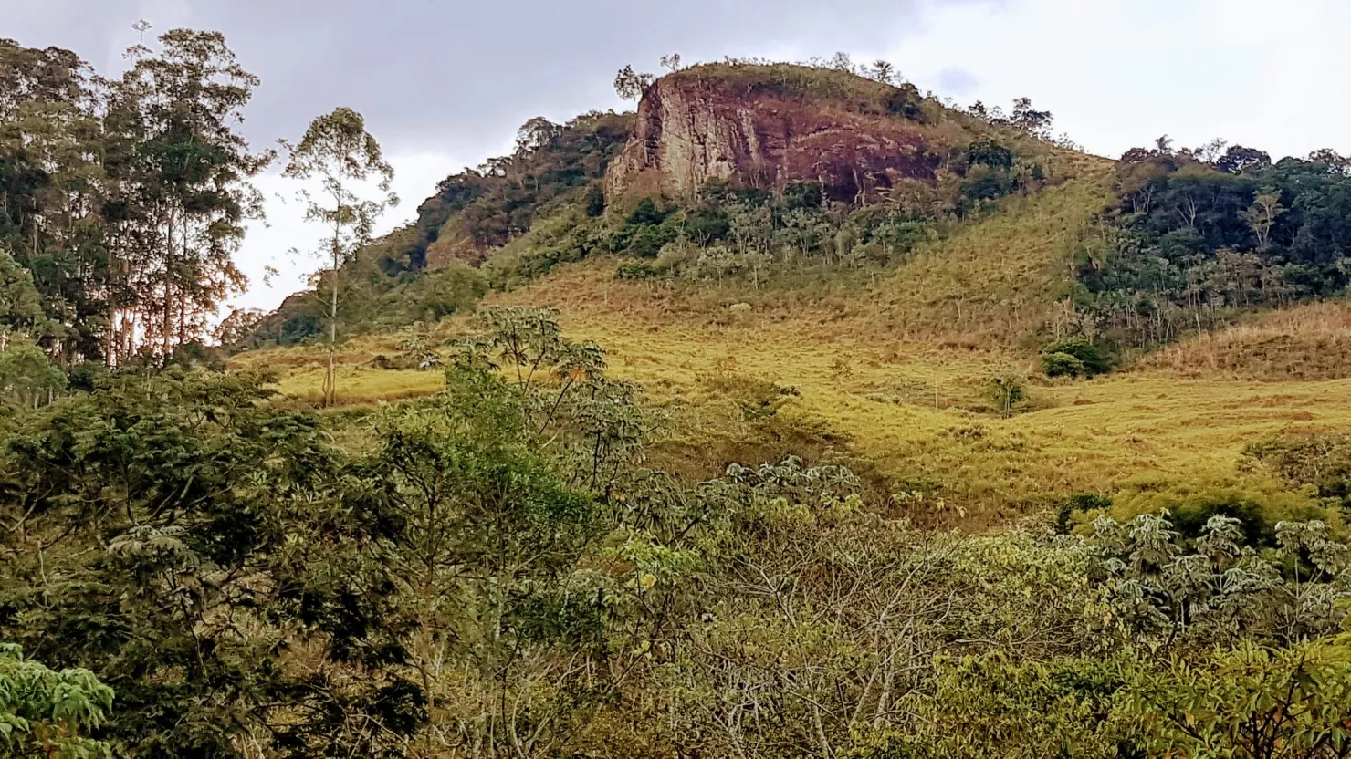 Imagem Chácara à venda 1 Quarto, 110000.25M², Água Preta, Pindamonhangaba - SP