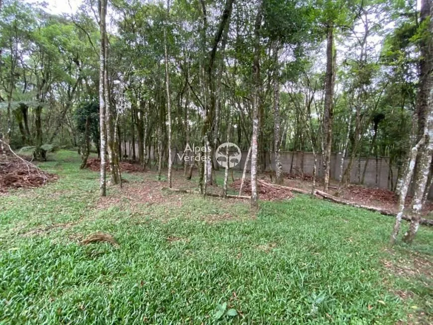 Imagem Terreno em Condomínio, 431,81m2, à venda em Canela, Villa Magi