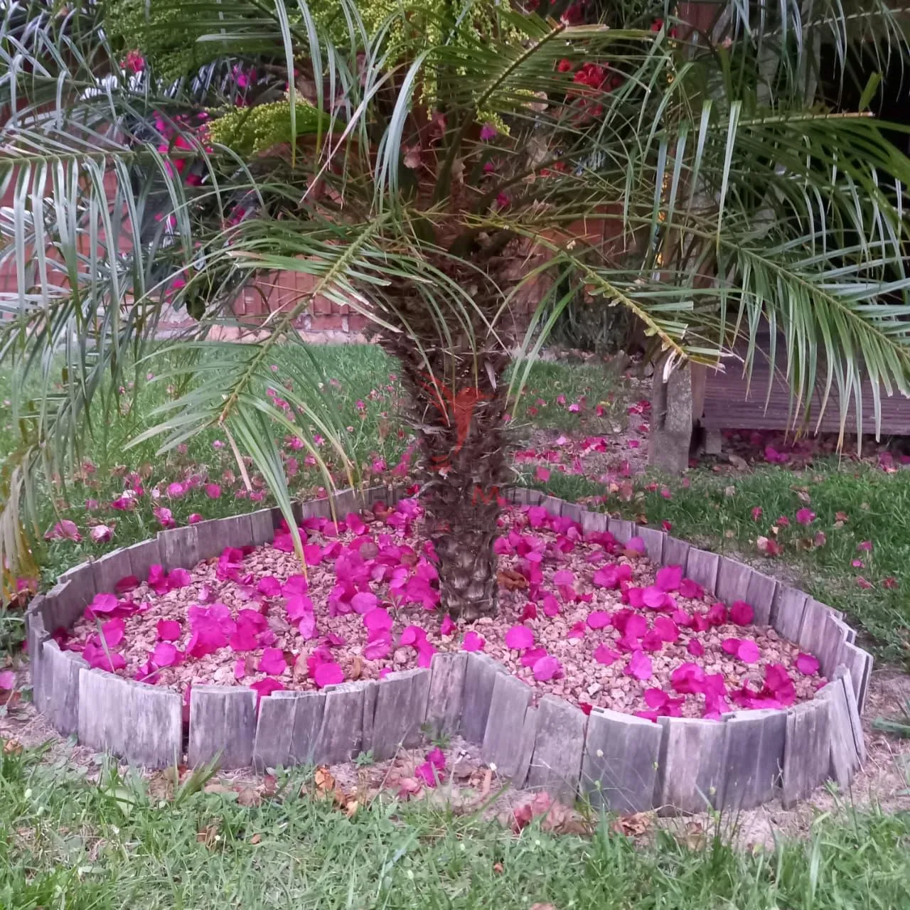 Imagem Sitio a beira da lagoa dos patos, lugar tranquilo, terapia ambiental, vem ser feliz!!!