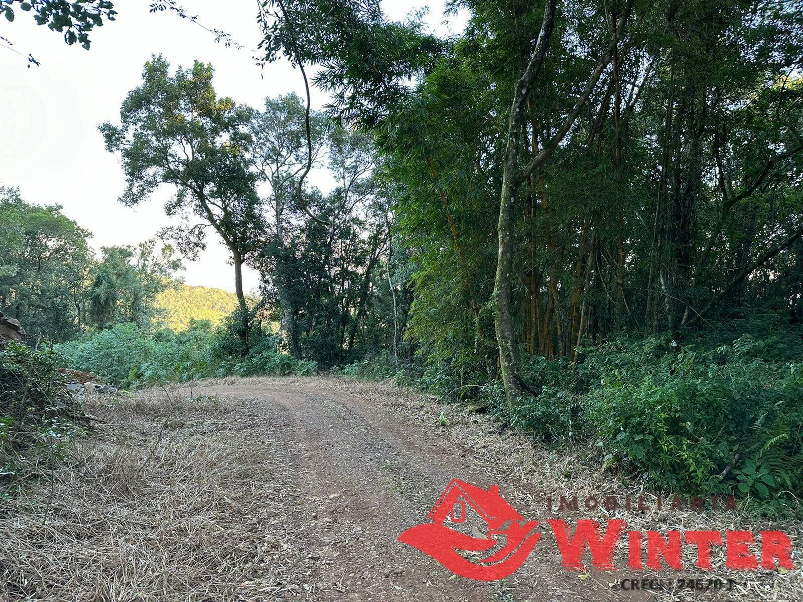 Imagem 7 hectares em Linha Nova.