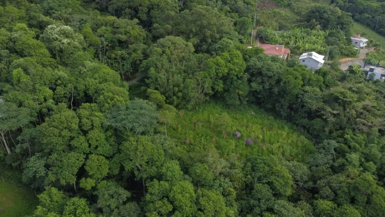 Imagem Terreno à Venda no Bairro Macacu - Garopaba/SC