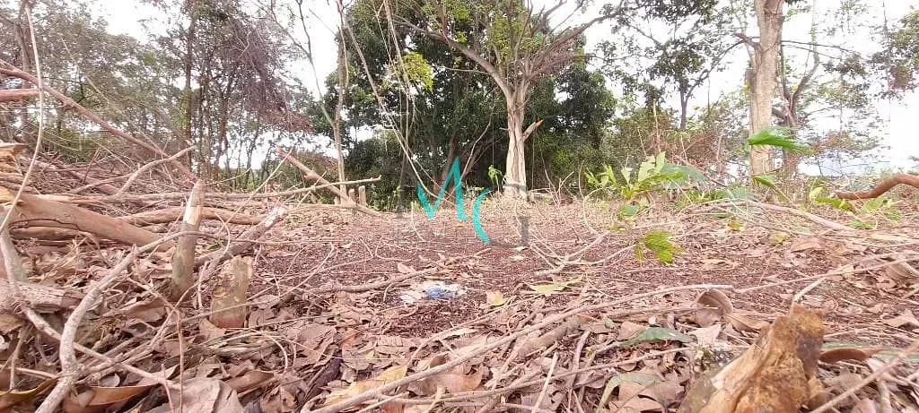 Imagem Área para alugar, 2400 m² por R$ 11.830,00/mês - Campo Grande - Rio de Janeiro/RJ