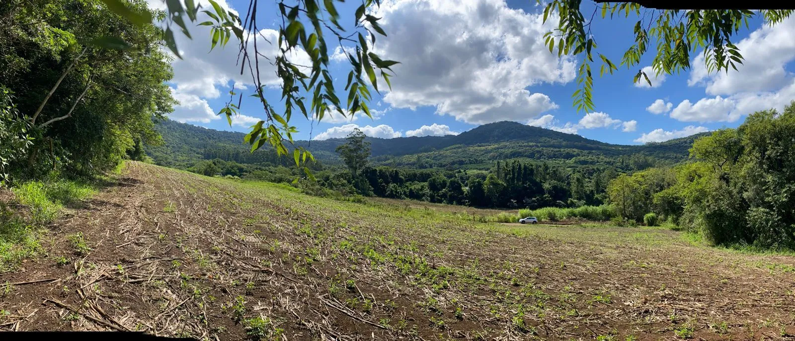 Imagem Área Rural em Capela do Rosário