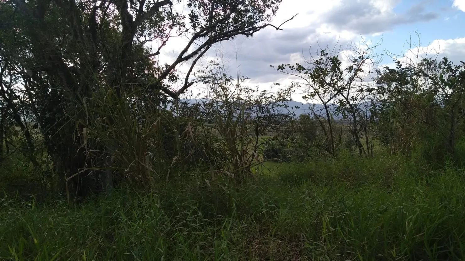 Imagem Chácara à venda 6675M², Quiririm, Taubaté - SP