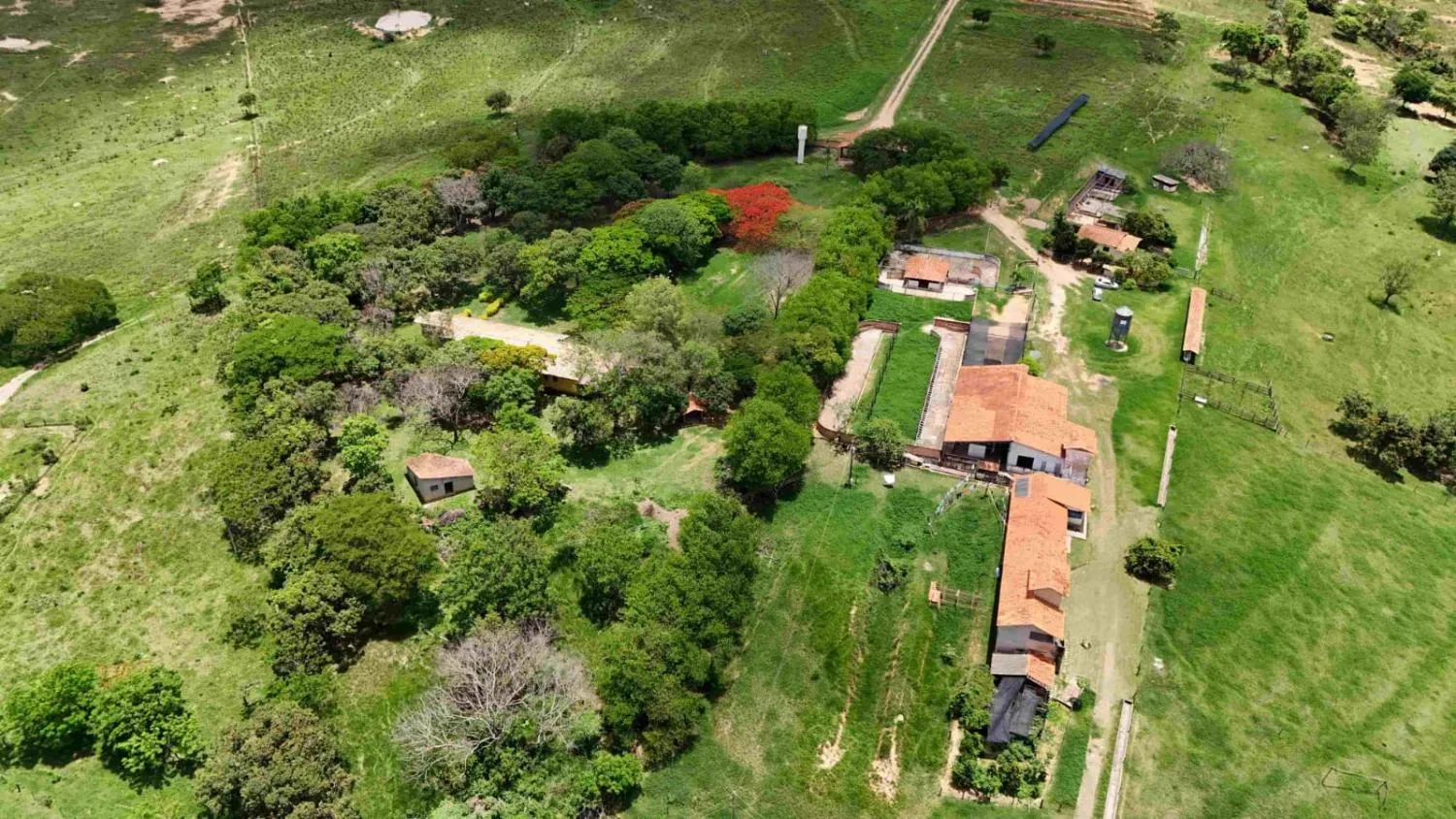Imagem FAZENDA À VENDA - MORRO DA GARÇA (MG) 165 hectares de área total,