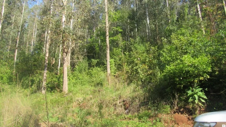 Imagem Terreno para Venda em Arabuta, Interior