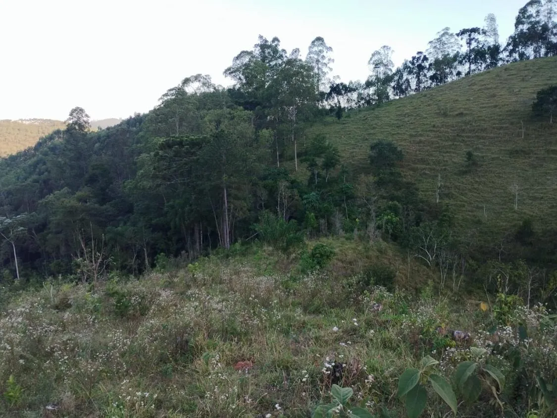 Imagem 4 Alqueires à Venda em Piracaia ? Ótima Localização!
