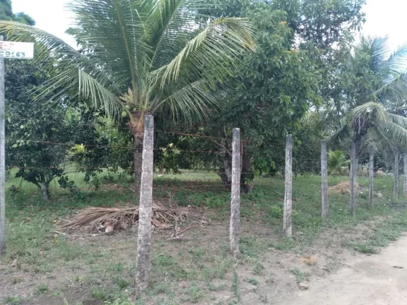 Imagem Terreno de 3000m² à venda, localizado em Chã de Onça, Paudalho - Pernambuco.