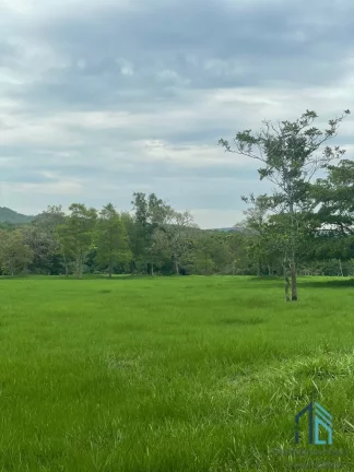 Imagem Fazenda linda 39 alqueires, com casa peão e casa sede, Município de Mossamedes GO