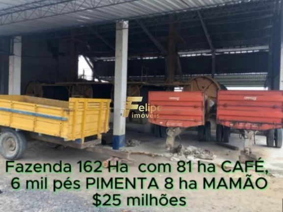 Imagem FAZENDA DE ALTO PADRÃO EM EUNÁPOLIS/BA 162 HECTARES DOCUMENTADOS 81 há de CAFÉ.