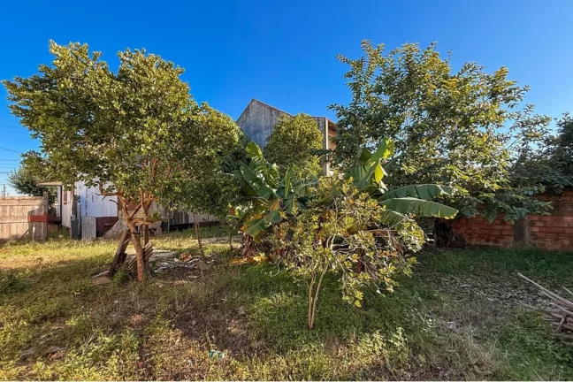 Imagem Terreno/Lote Residencial para venda no bairro Niterói em Canoas