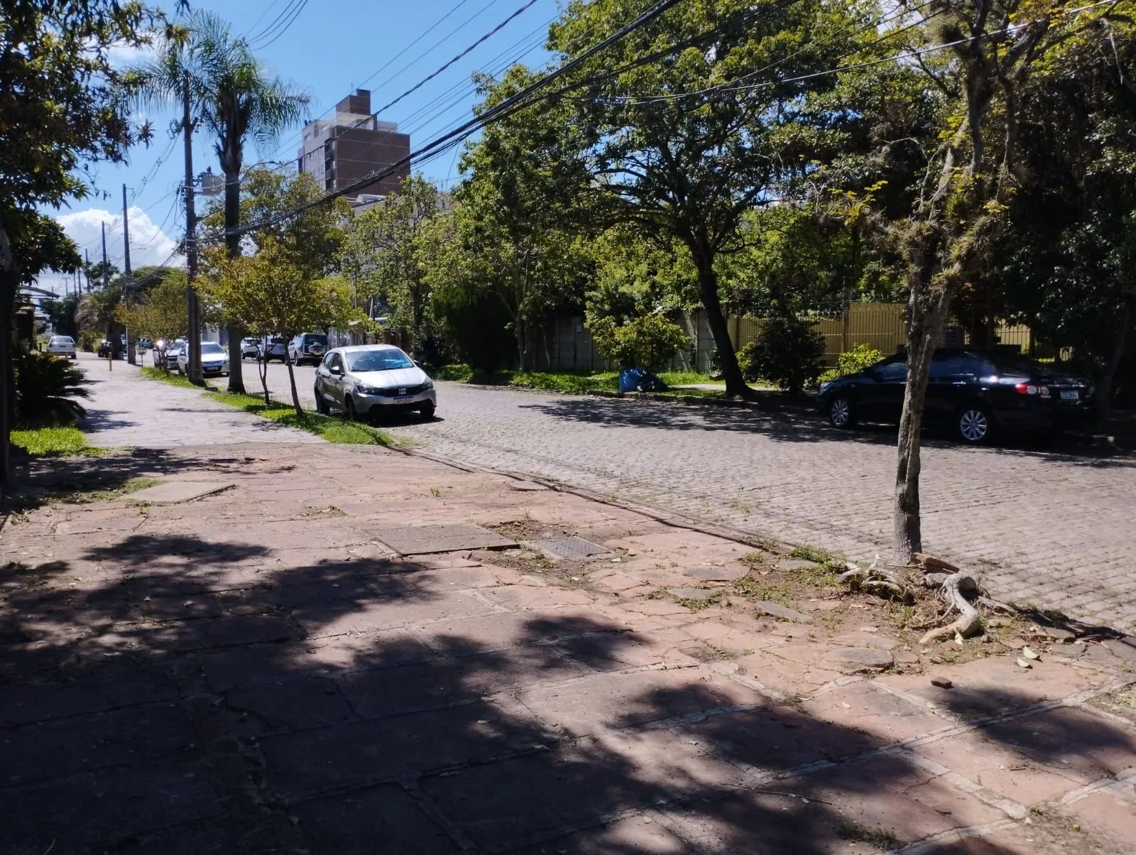 Imagem Terreno em Tristeza