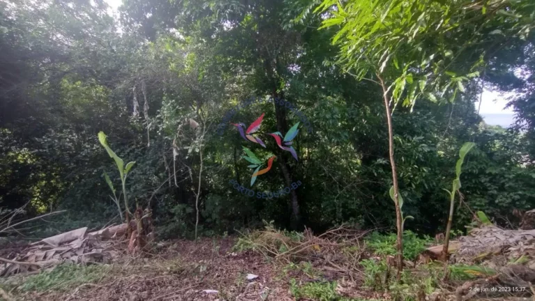 Imagem TERRENO NA CIDADE HISTÓRICA