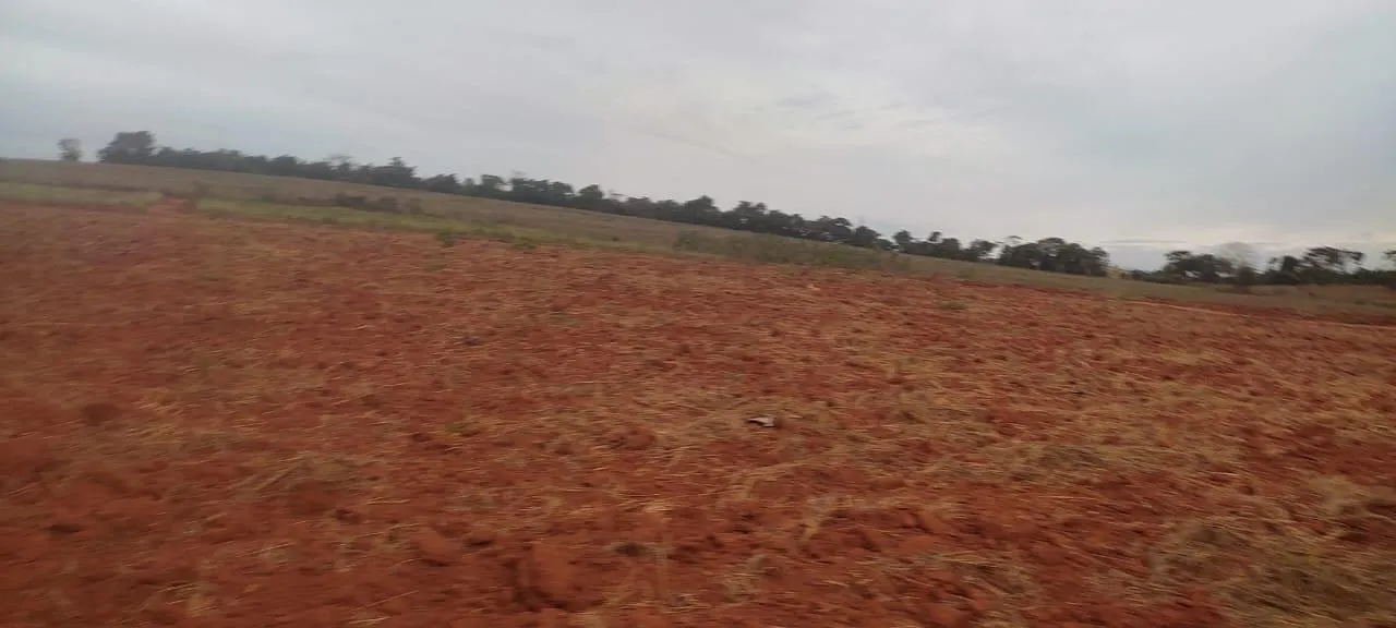 Imagem FAZENDA À VENDA - CRUCILÂNDIA (MG) 120 hectares de área total