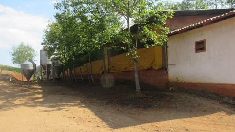 Imagem Área Agrícola para Venda em Lindóia do Sul, Interior