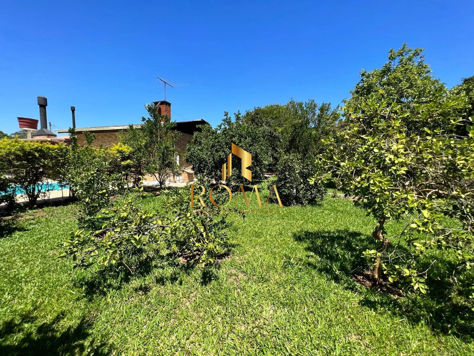Imagem Sítio 3 dormitórios à venda Pains Santa Maria/RS