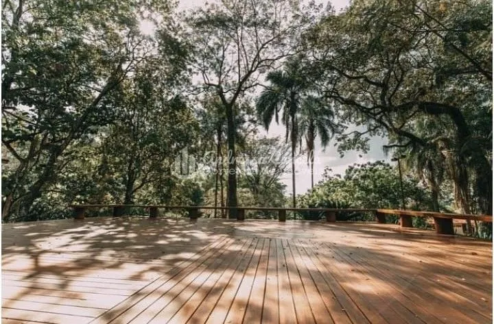 Imagem Chácara à venda, 68000 m² por R$ 7.600.000,00 - Zona Rural - Mirassol/SP