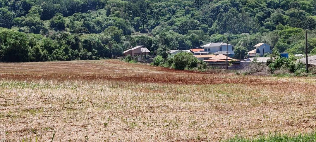 Imagem Chácara à venda em Cascavel - São Salvador - Lavoura e Rio