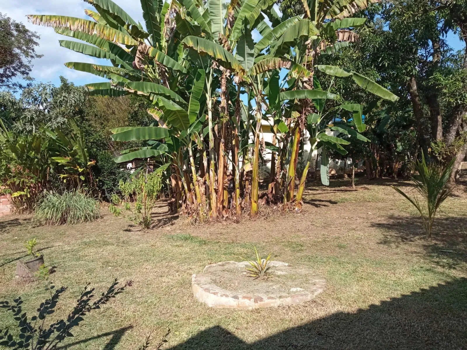 Imagem Somente R$ 650.000mil Casa com 300m²,3 Dor, sendo uma Suite 800m² de Terreno em Condomínio Aquários Araçoiaba Da Serra/SP