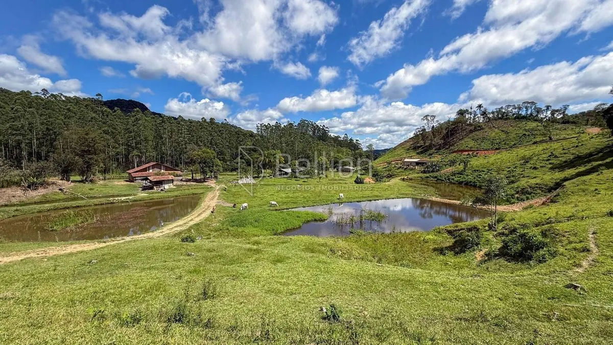 Imagem Sítio completo com lagoas, ribeirão e nascente em Rio dos Cedros