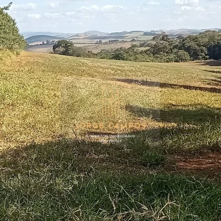 Imagem FA-24163 - FAZENDA À VENDA EM MINDURI/MG