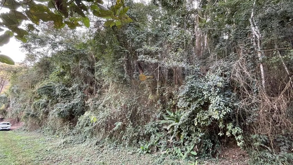 Imagem Terreno para Venda em Teresópolis / RJ no bairro Vale Feliz
