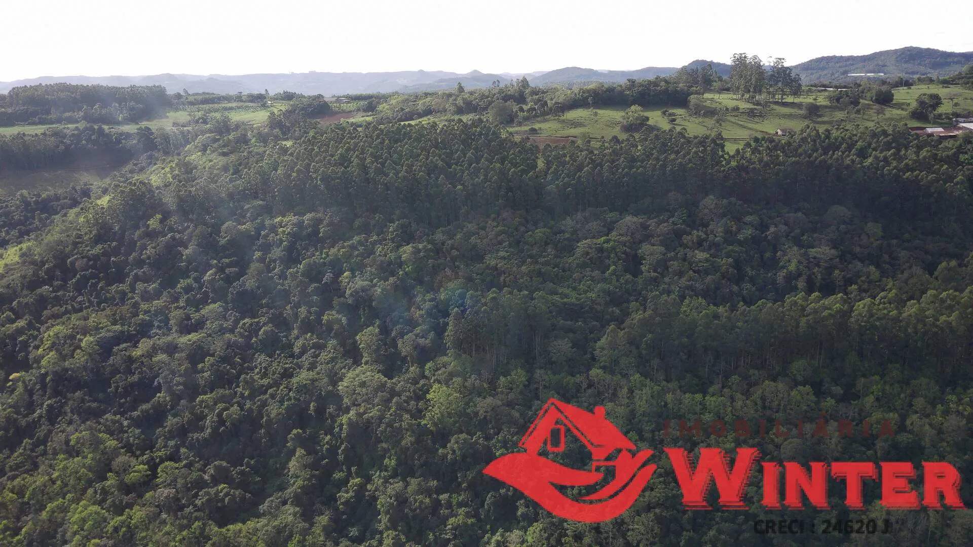 Imagem Área de terras com 7,25 hectares em Morro Grande, Linha Nova.