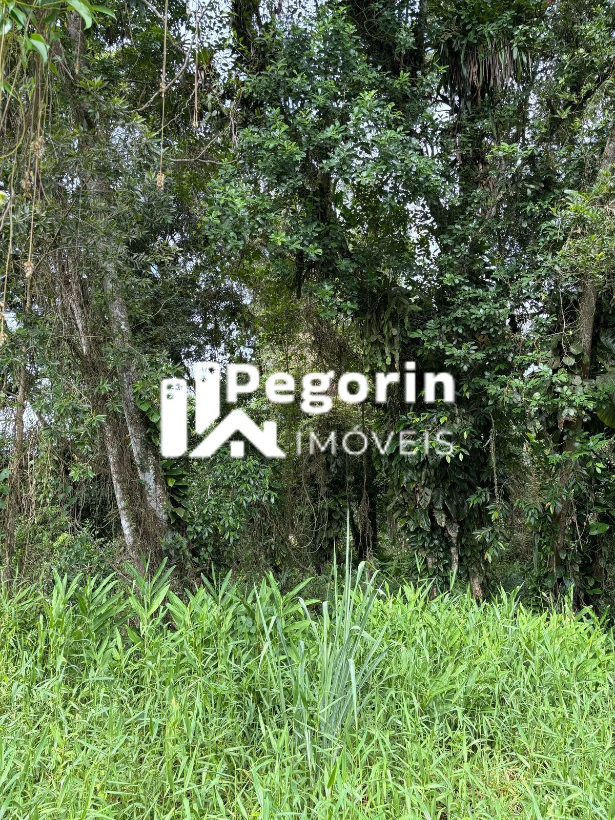 Imagem Terreno em Balneário Brandalize, Itapoá/SC