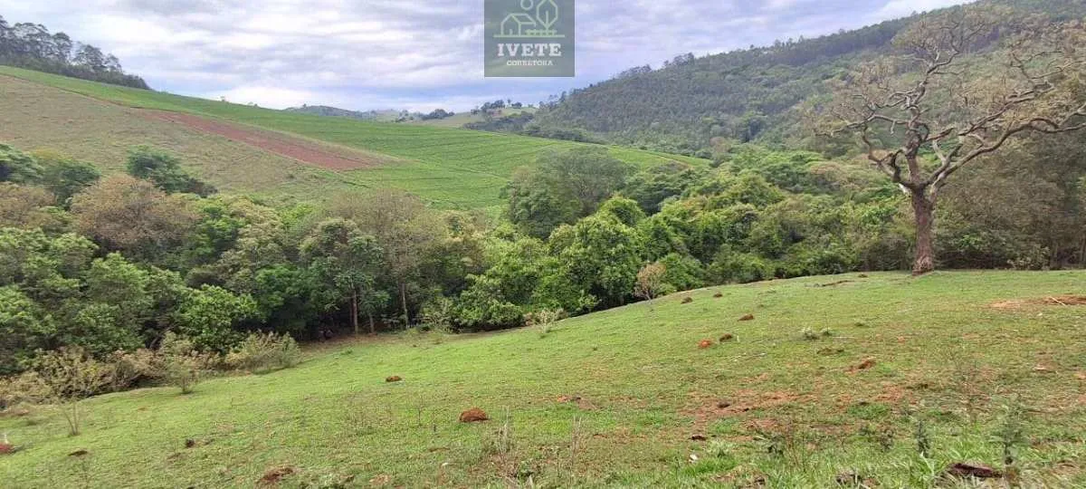 Imagem Ampla Área à Venda no Bairro da Lagoa - Socorro/SP