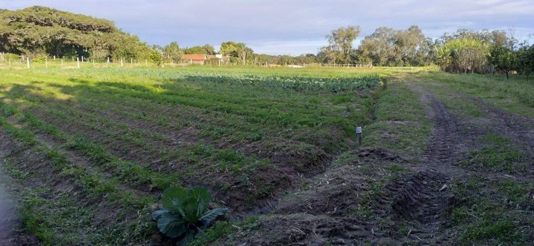 Imagem Terreno em Lageado