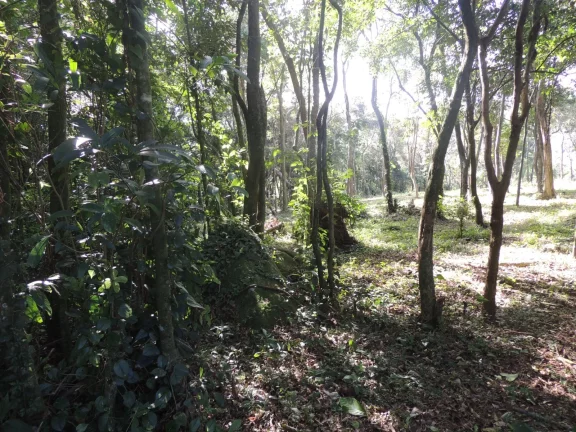 Imagem Terreno Espaçoso em Macacu, Garopaba-SC: 20 mil m², Vista para Lagoa e Mar