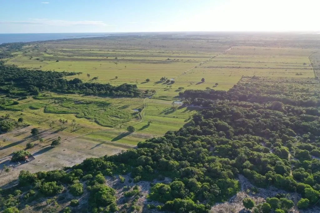 Imagem Fazenda a venda em Bahia BA, farms for sale in Bahia Brazil, farm for sale in Brazil, comprar fazenda estado da Bahia, fazenda para venda na Bahia