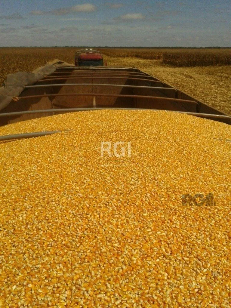 Imagem Fazenda em Centro