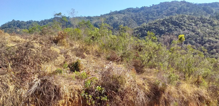 Imagem Chácara - Sítio Maria Madalena com 2,02 Alqueires - 49.000m² - Itambezinho!