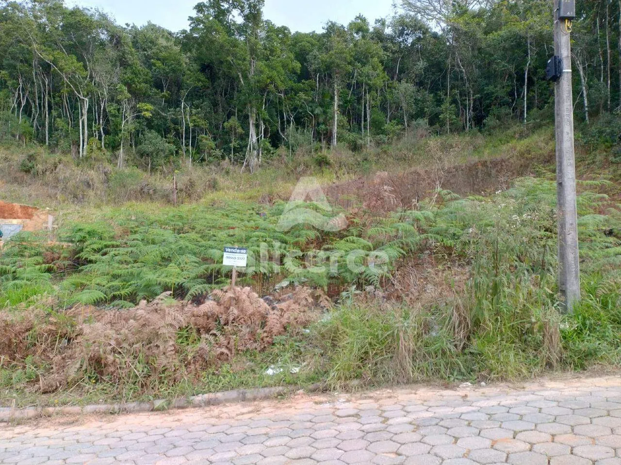 Imagem Terrenos planos, prontos pra construir em Forquilhas - São José - SC