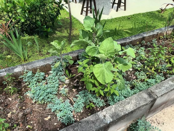 Imagem Magnífica casa em Itaipuaçu, 50mts da Orla, próximo restaurante