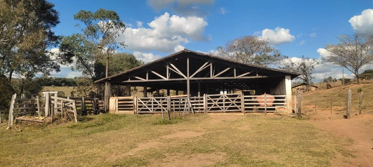 Imagem Vendo uma excelente fazenda na região de Itaúna/MG 212 hectares de terra